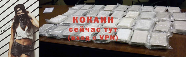 стаф Тутаев